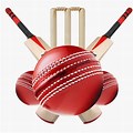 Cricket Bat Ball Logo