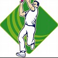 Cricket Bowling Icon