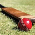 Cricket Games Bat Ball