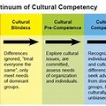Cultural Awareness Training Timeline Template
