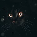 Cute Cat Wallpaper for Laptop 4K Dark Mode