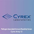 Cyrex 12 Blood Panel