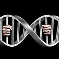 DNA Technology in Criminal Justice