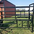Dairy Cow Stanchions