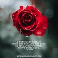 Deep Quotes with Rose Background