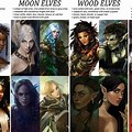 Different Types of Elves