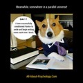 Dog Memes Psychology