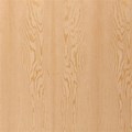 Douglas Fir Veneer/Plywood