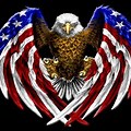 Eagle with American Flag Wings