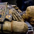 Egyptian Mummies From First Dynasty