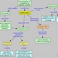 Electro Chemistry Concept Map