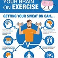 Exercise Brain Health