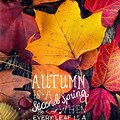 Fall Quotes High Resolution
