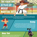 Fight Styles Martial Arts