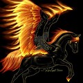 Fire Unicorn Pegasus