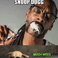 Funny Dog Smoking Weed Memes