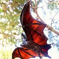Glass Bat Sculpture