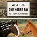 Good Horse Jokes