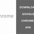 Google Chrome Browser App Download for PC