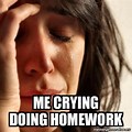 Guy Crying Doing Homework Meme