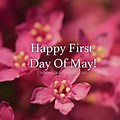 Happy First Day of May Facebook Images