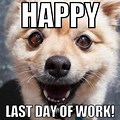 Happy Last Day of Work Dog Meme