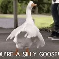 Happy New Year GIF Funny Goose