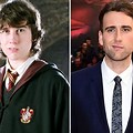Harry Potter Cast All Grown Up