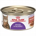 Healthiest Canned Cat Food