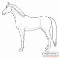 Horse Drawing Front Side View