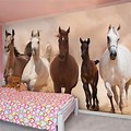 Horse Wallpaper for Bedroom