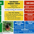 How Long Does Lyme Disease Last