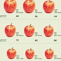 How Much Weight Is a Apple