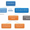 Human Memory Perturbation Model