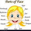 Image Face for Kids Learn