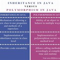 Inheritance and Polymorphism Java