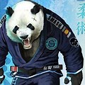Jiu Jitsu Animals Desktop Wallpaper