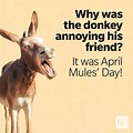 Jokes for April Fools Day