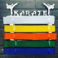 Karate Belt and Medals Holder