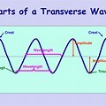 Key Features of a Transverse Wave