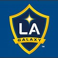 LA Galaxy Logo Soccer Ball
