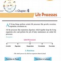 Life Processes Class 10 Notes Questions