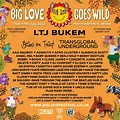 Love Music Festival in Woolhampton