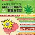 Marijuana Negative Side Effects