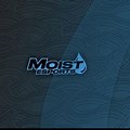 Moist eSports PC Theme