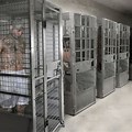 Most Dangerous Prison in Florida