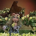 Muppet Show Miss Piggy Rowlf Daffodils