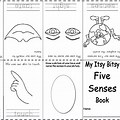 My Five Senses Book Cube Black and White
