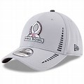 NFL Shield Logo Flexfit Hats