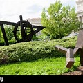 National Gallery of Art Sculpture Garden Tree